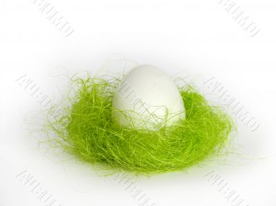 White egg in green nest