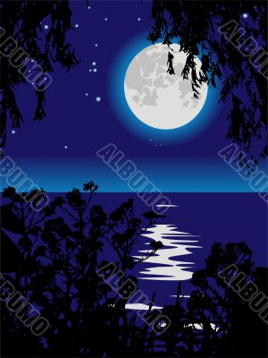 Lunar path on lake at night.