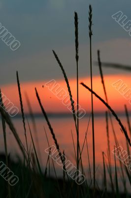 Landscape. Dawn on lake
