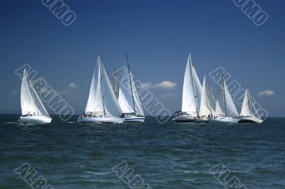 Start of a sailing regatta Start of a sailing regatta