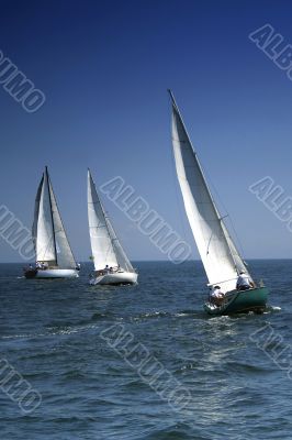 Start of a sailing regatta Start of a sailing regatta