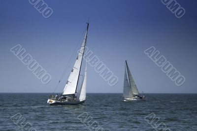 White sails White sails