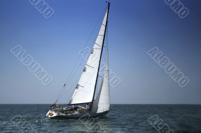 White sails
