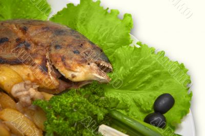 whole griled dorada fish