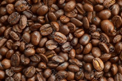 coffe beans texture