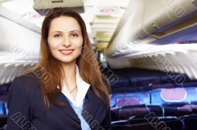 air hostess /stewardess