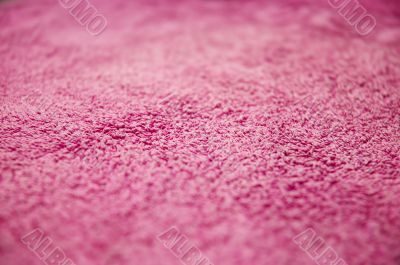 towel background. VERY shallow DOF.