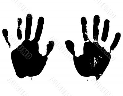 Hands