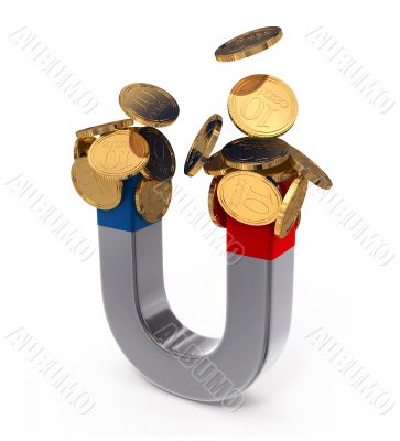Magnet with money