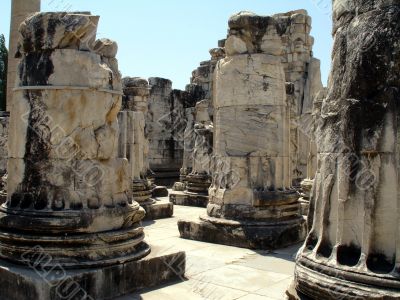 columns of the apollo temple