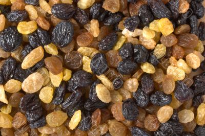 Mixed raisins close up