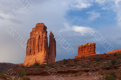 Tower Tower