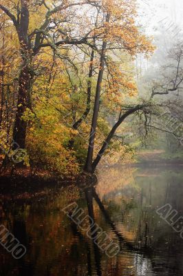 Corner of autumn park