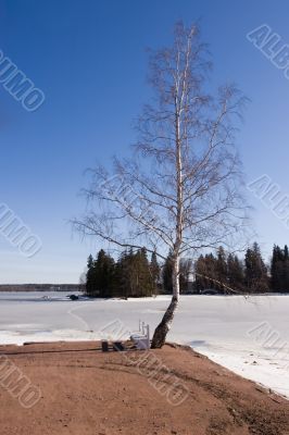 Spring in landscape park