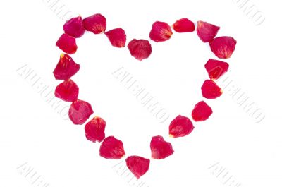 Heart frame from red rose petals