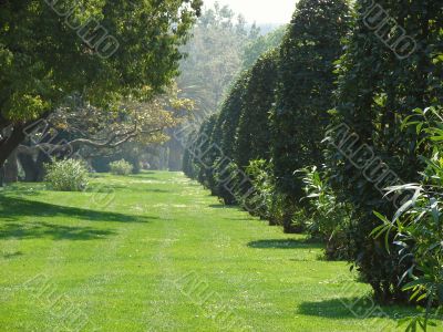 Morning in park ` De la Ciutadella`. Barcelona