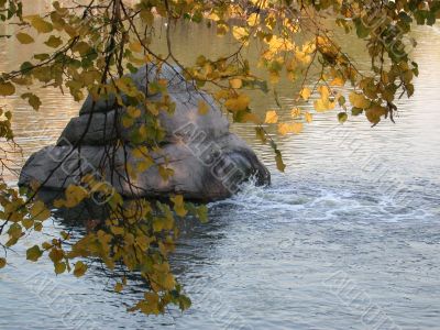 foliage, water, stone