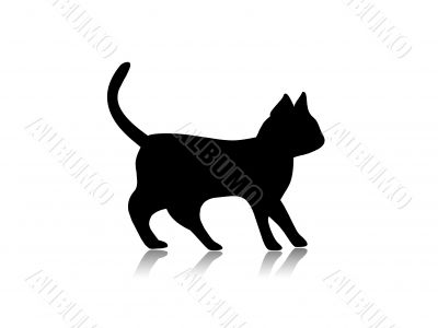 Cat illustration