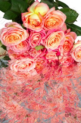 Roses Roses