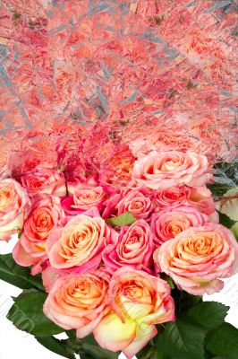 Roses Roses