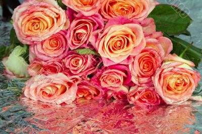 Roses Roses