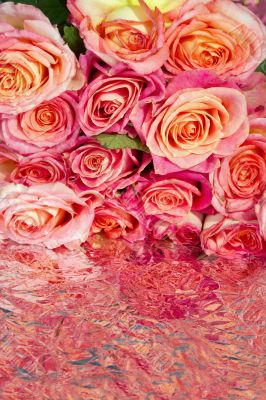 Roses Roses