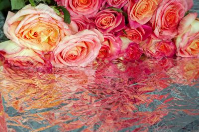 Roses Roses