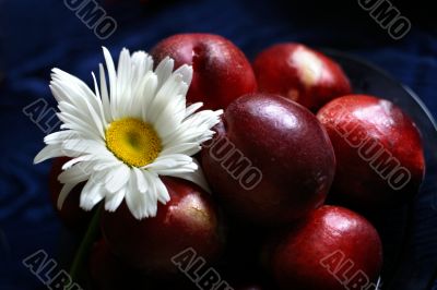 Plate full of fruits