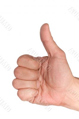 man`s hand