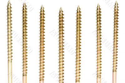 Close up  screw