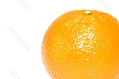 Close up mandarin
