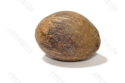 coconut