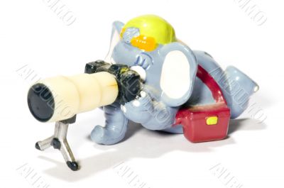 Elephant photographer