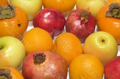 Fruit on white background