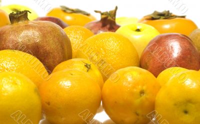 Fruit on white