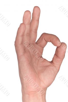 man`s hand