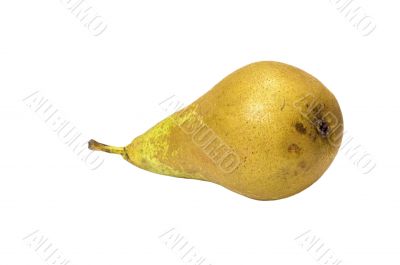 fruit - pear