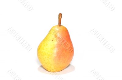 fruit - pear