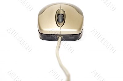 computer mouse