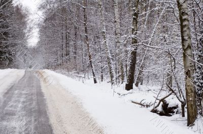 Winter way