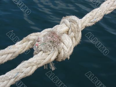 Rope. Unit.