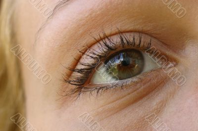 Brown eye