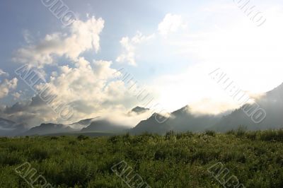 foggy morning