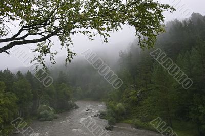 fog and river