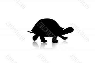 turtle silhouette