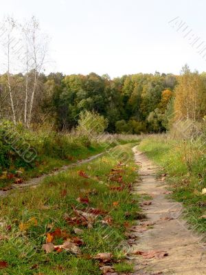 Country road Country road