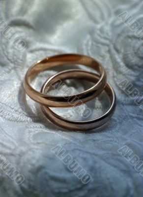 Wedding rings with ornaments