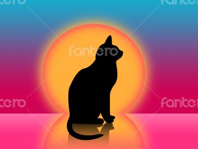 Cat and sunset