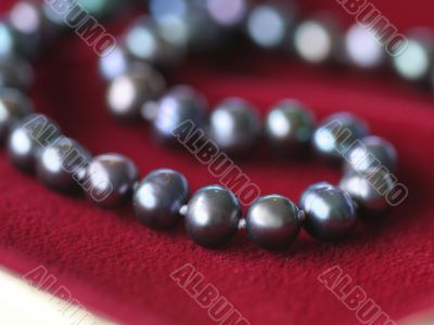 Black pearl necklace on red velvet