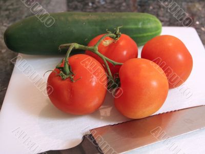 Close up of vine tomatoes